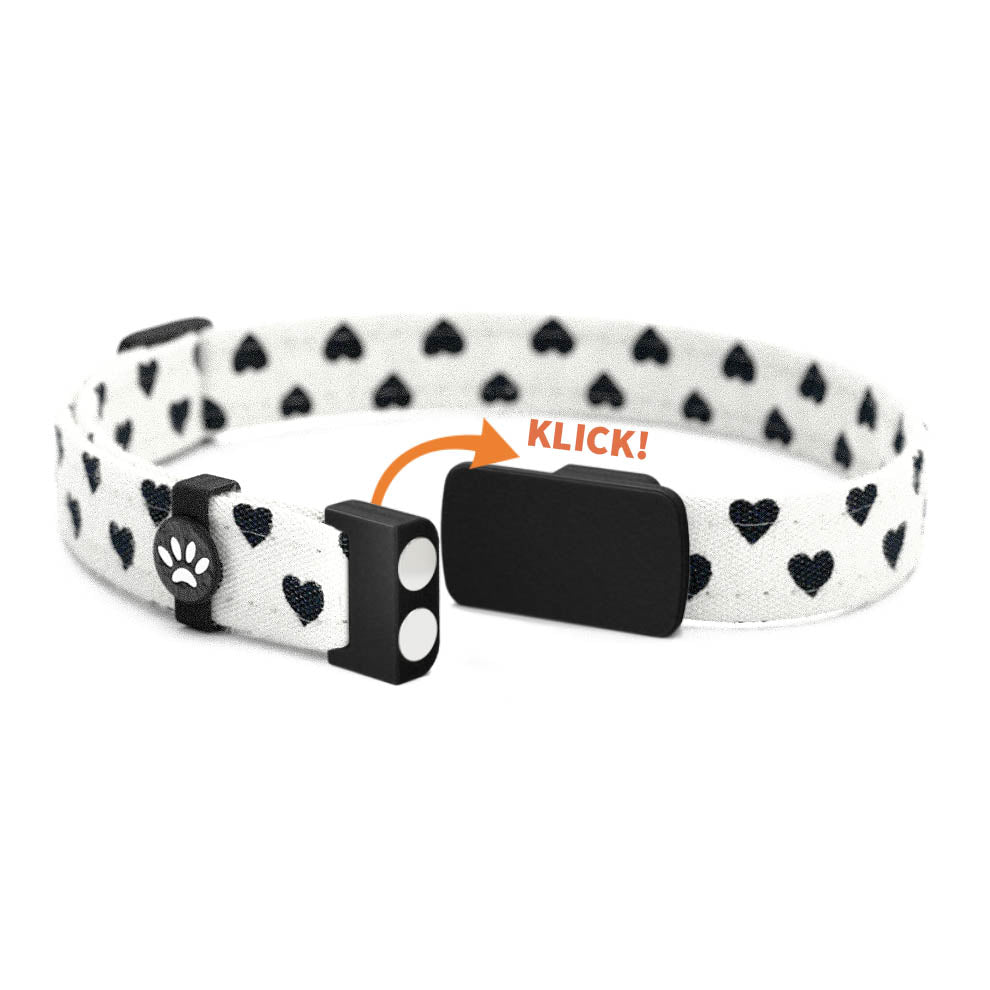 BONNY Personalisiertes Katzenhalsband mit Magnetverschluss