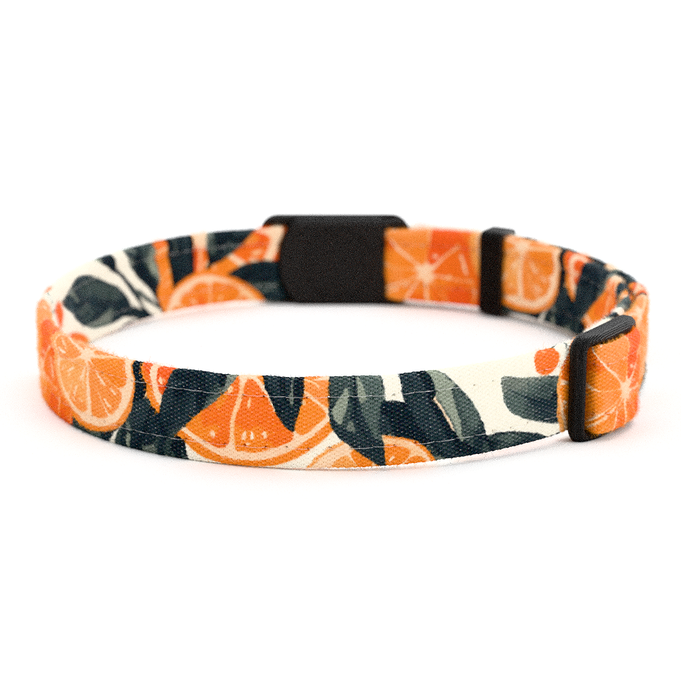 CLEMMI Personalisiertes Katzenhalsband mit Magnetverschluss