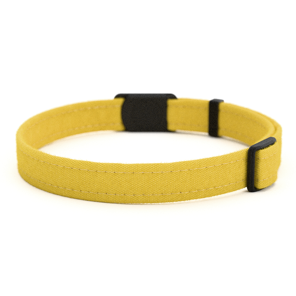 CURRY Personalisiertes Katzenhalsband mit Magnetverschluss