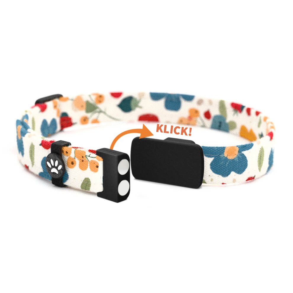 FLO Personalisiertes Katzenhalsband mit Magnetverschluss