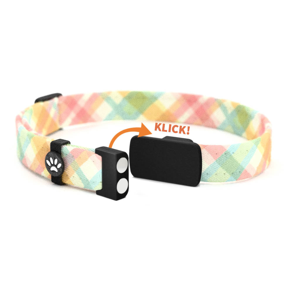 KARO Personalisiertes Katzenhalsband mit Magnetverschluss