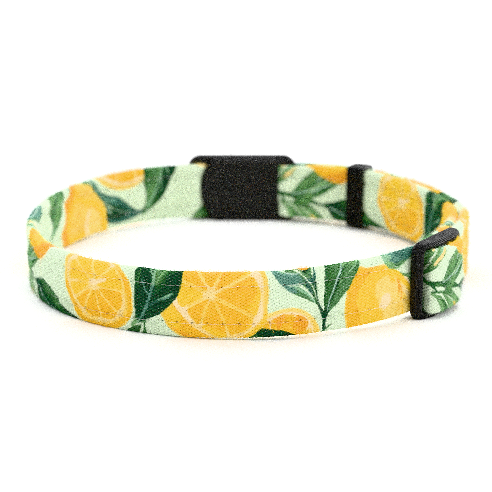 LEMMY Personalisiertes Katzenhalsband mit Magnetverschluss