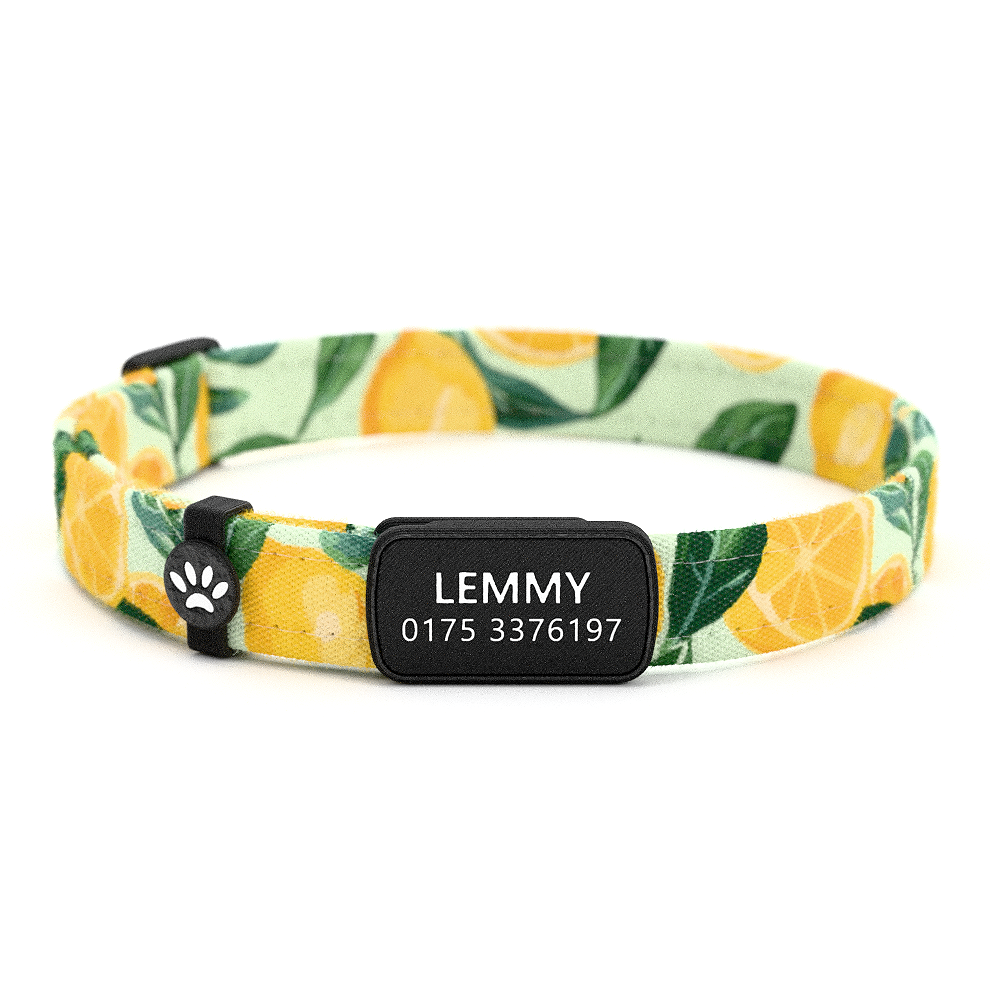 LEMMY Personalisiertes Katzenhalsband mit Magnetverschluss