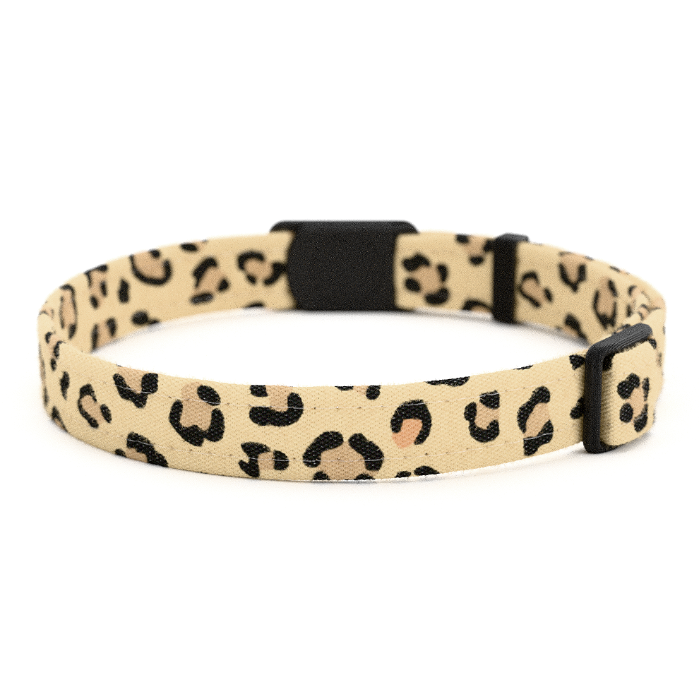 LEO Personalisiertes Katzenhalsband mit Magnetverschluss
