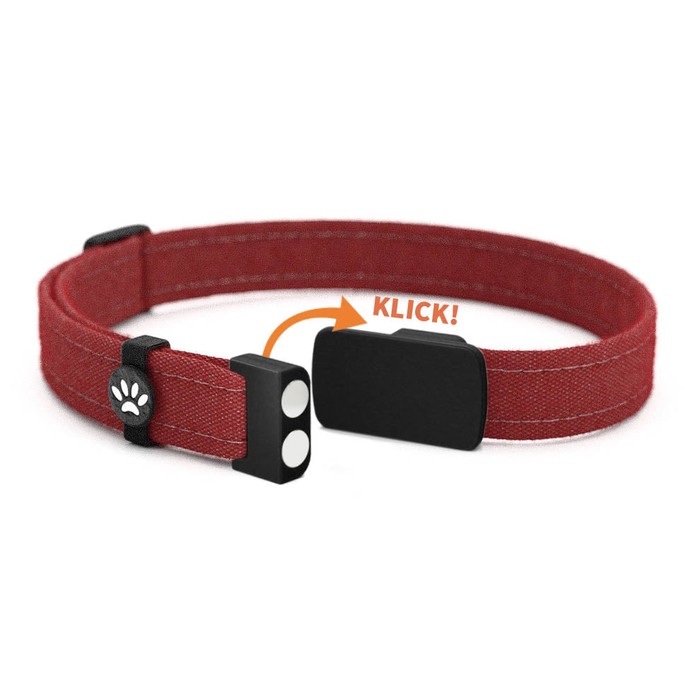 MERLOT Personalisiertes Katzenhalsband mit Magnetverschluss