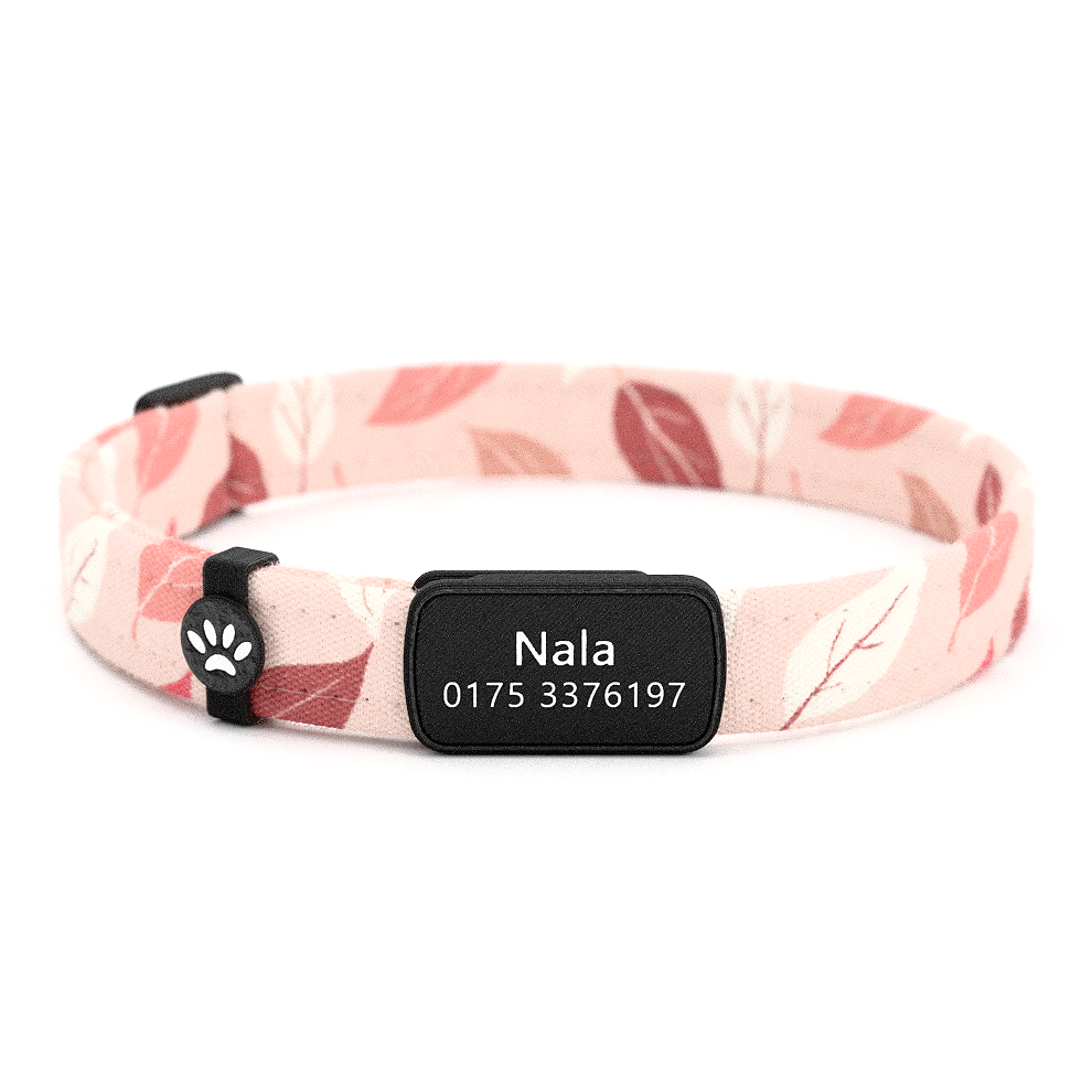 NALA Personalisiertes Katzenhalsband mit Magnetverschluss