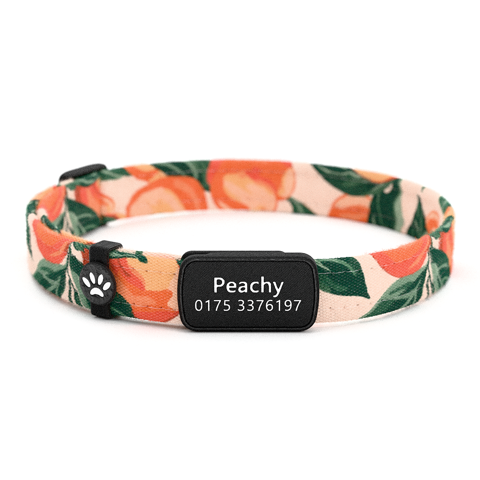 PEACHY Personalisiertes Katzenhalsband mit Magnetverschluss