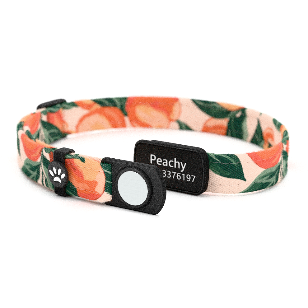 PEACHY Personalisiertes Katzenhalsband mit Magnetverschluss