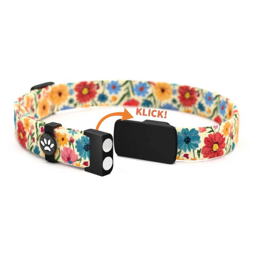 POPPY Personalisiertes Katzenhalsband mit Magnetverschluss