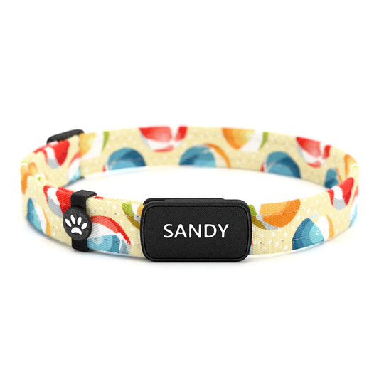SANDY Personalisiertes Katzenhalsband mit Magnetverschluss
