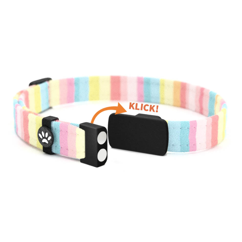 SUNNY Personalisiertes Katzenhalsband mit Magnetverschluss