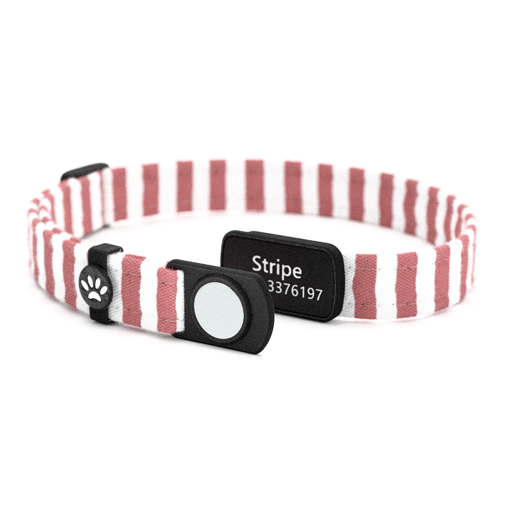 STRIPE Personalisiertes Katzenhalsband mit Magnetverschluss